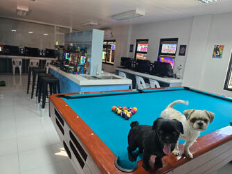 With two billiard tables, two dart boards, and arcade machines